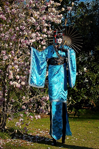 Asian Blue and Blossoms